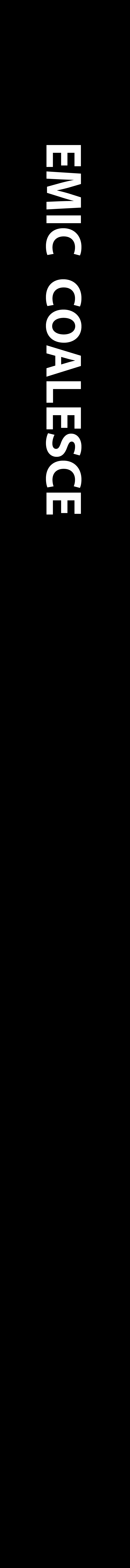 parergon